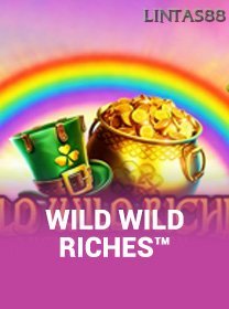 Wild Wild Riches game cover